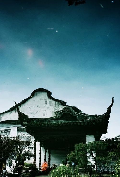 表达出内心最重要 我所理解的摄影美学