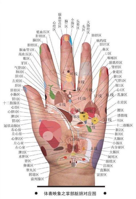 中医手诊图谱(上)[转]