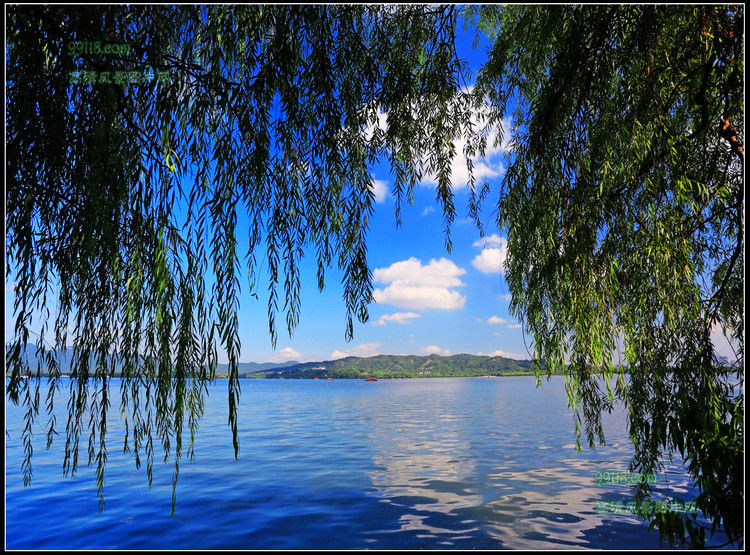 杭州湾风光 - 飞春 - 飞春博客