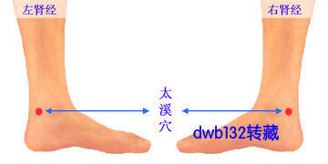 女士养颜四大神穴『让你永远粉嫩白皙』 - 弦静心卿 - liuwei1982726的博客