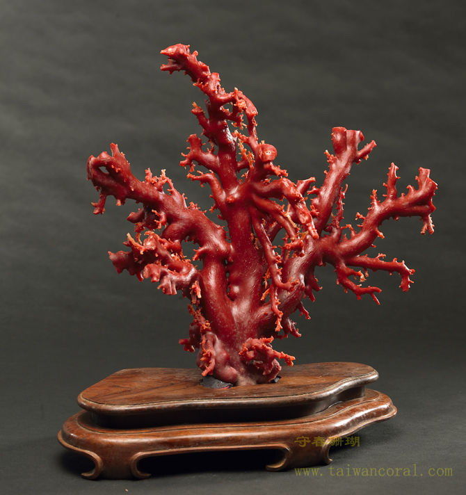 艺术珍品 - 珊瑚雕    1 - h_x_y_123456 - 何晓昱的艺术博客