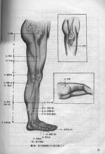 【健康养生】敲胆经 敲掉垃圾 敲除白发 - 缘水禅心 - 