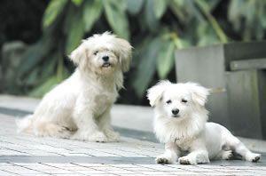 2011年08月28日 - 半妆女子 - 半妆女子