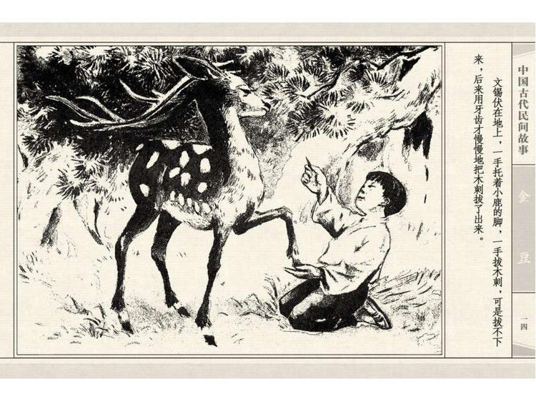 金豆 - shunlin01 - 美术资料与连环画