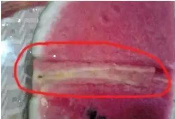 西瓜要选母的才好吃 你知道吗？