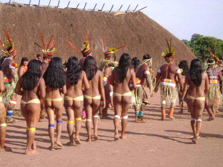 非洲部落选美 - 台湾白酒88坑道 - 论樽酒行--台湾名酒