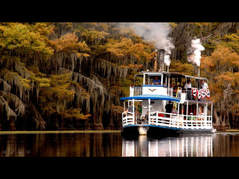 Rose【Caddo Lake】（4007） - Rose - Rose Yang的博客