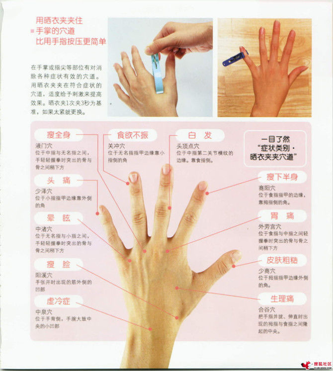 家中小事展现智慧与才艺，天哪，太实用了 - 静水流风 - 蚂蚁闯红灯