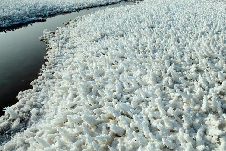 运城盐湖物理现象之二（原创） -