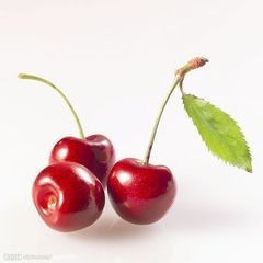 十种蔬果坚决不能吃的部位！！ - 吴锡安（亚亚） - 吴锡安的博客（亚亚）