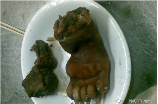 常见干货的发制方法 - 逍遥客 - 逍遥客