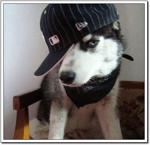 周末要轻松！【幽默图片50P】 - 無為居士 - 聚美齋