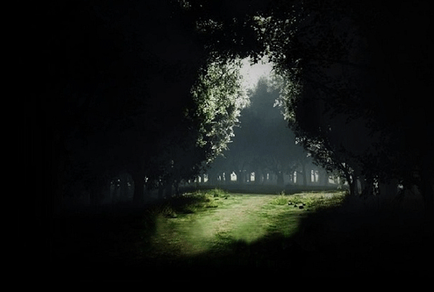 学会静享生活，让心坦然无悔 - 渭水诤友 - 渭水诤友 百科知识精品博客