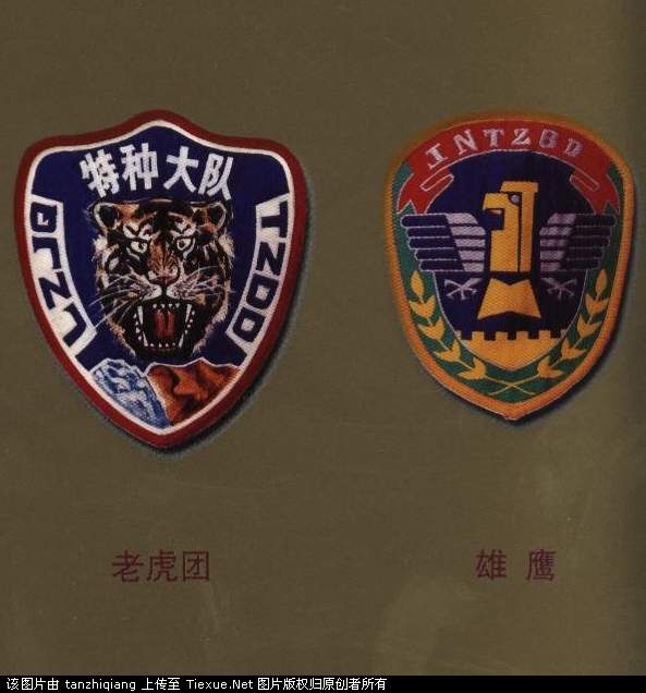 兰州军区夜老虎特种部队、济南军区雄鹰特种部队