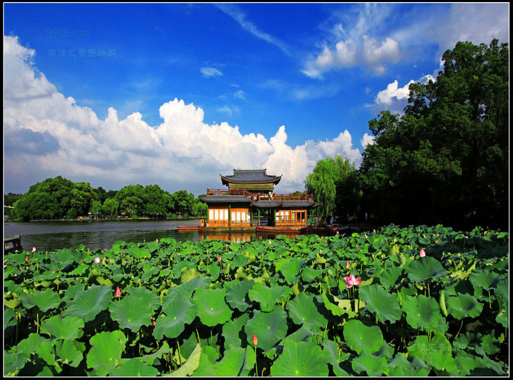 杭州湾风光 - 飞春 - 飞春博客