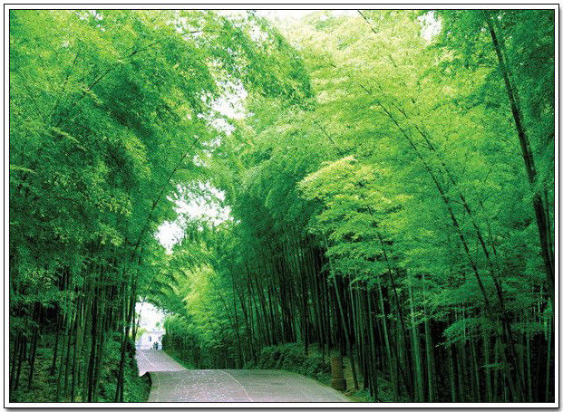 中国名山，景色怡人！ - 以博会友 - 以博会友