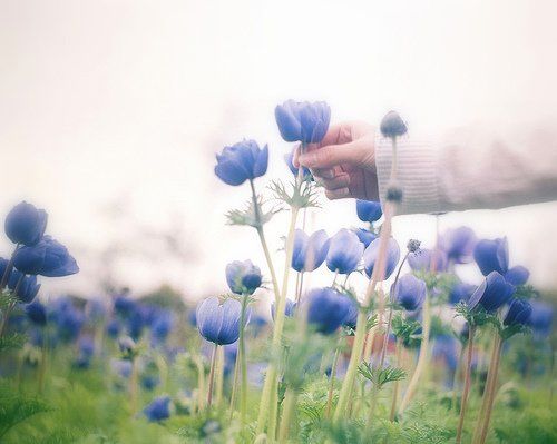 人生感悟：心境、心静、心净