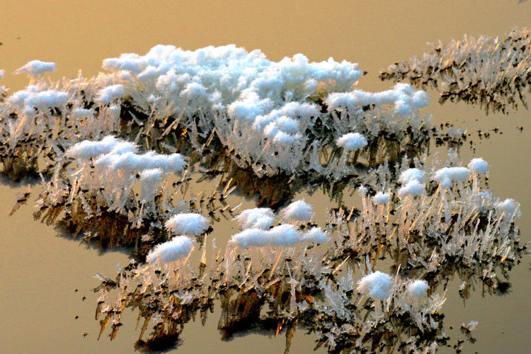 罕见的盐湖硝花【原创】