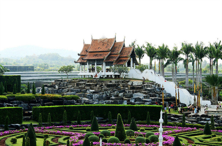 【引用】нуч花园轩弄。泰国 - 枫林傲然 -                  .