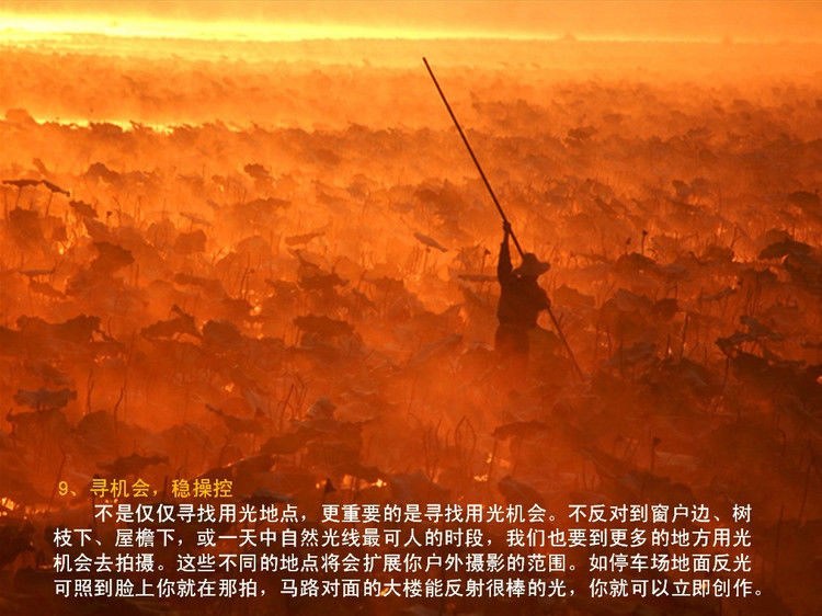 数码摄影入门讲座——摄影用光 - 遨游 - 遨游的博客