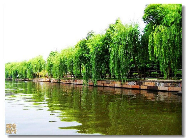 Y-苏州风光美天下 9【31】 - PPT园地 - 永平的博客