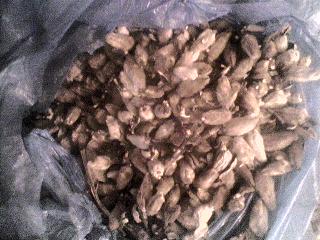 辛夷[别名；毛桃。]功能；祛风散寒，宣肺通鼻。作用；驱腥增香。