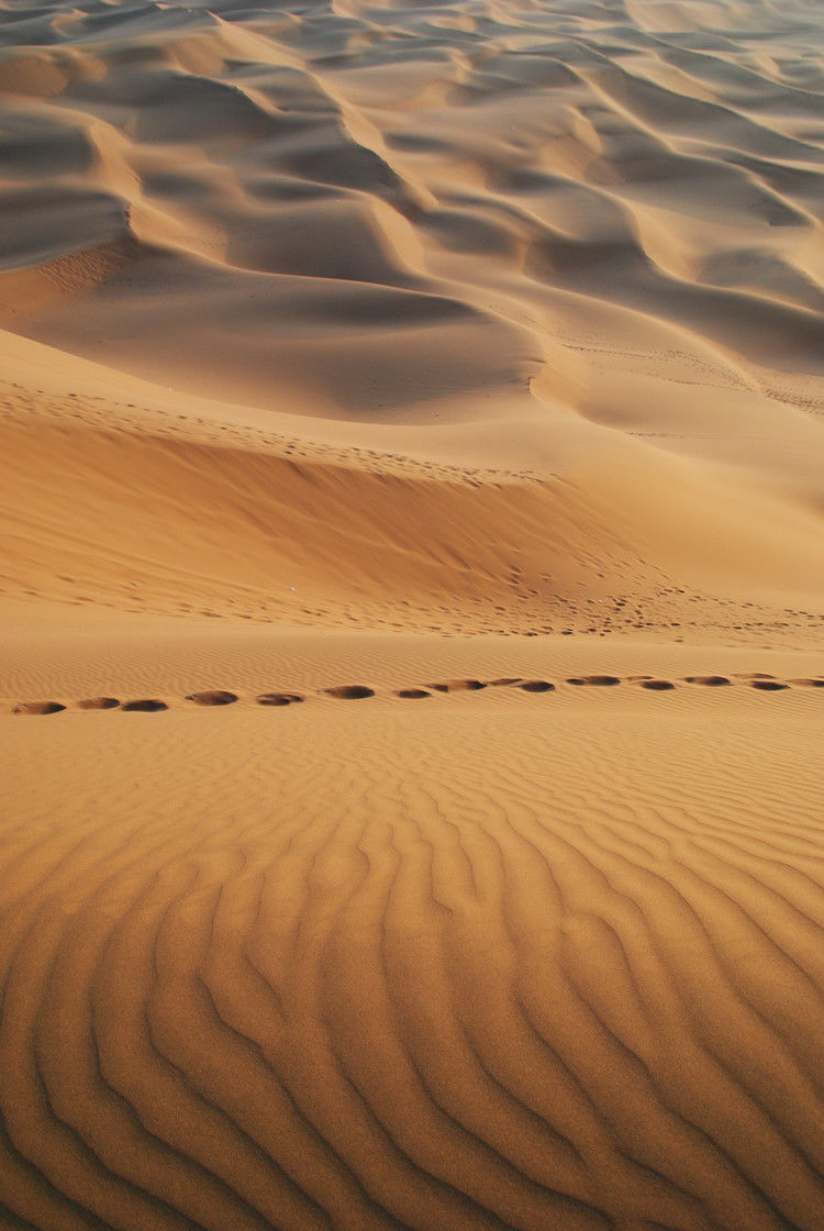 鄯善 - JOJO - JOJO带你游世界