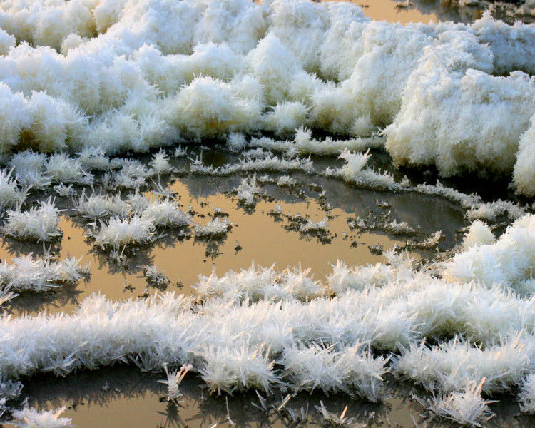 罕见的盐湖硝花（原创