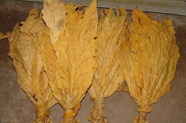 治痔疮我有绝招 - 往事如烟 - 往事如烟博客欢迎你光临