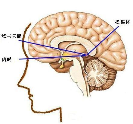 神秘世界56大诡异谜团(图)