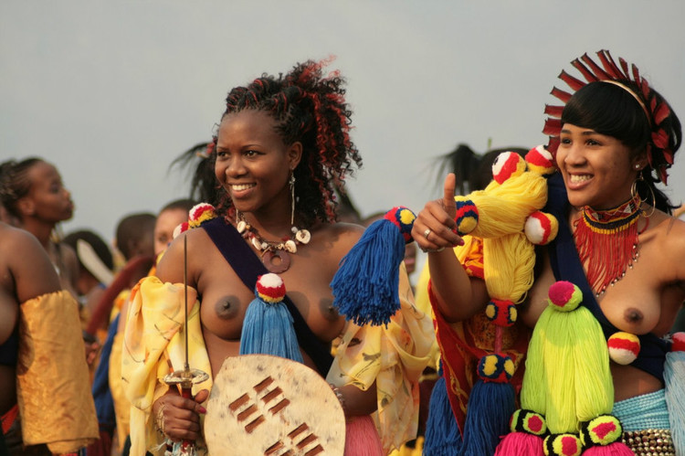 非洲部落选美 - 台湾白酒88坑道 - 论樽酒行--台湾名酒