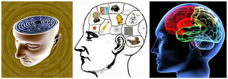 锻炼大脑的42个方法 - 背時季老頭 - 季也亲的博客