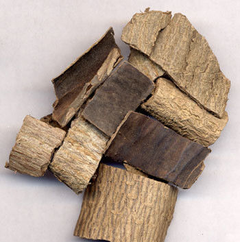 腰痛久治不愈的奇方秘术，为家人收藏！ - 李逵的博客