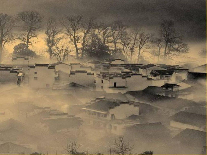 此景只应天上有，撒向人间引诗情【水墨意境】 - 纳兰容若 - 纳兰容若