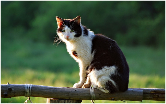 摄影口诀大全！【摄影知识】 - 無為居士 - 聚美齋