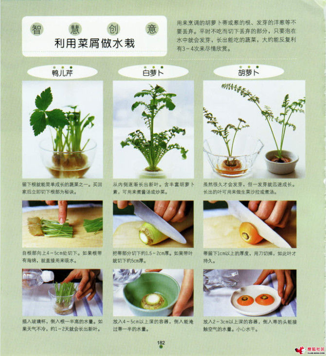 家中小事展现智慧与才艺，天哪，太实用了 - 静水流风 - 蚂蚁闯红灯