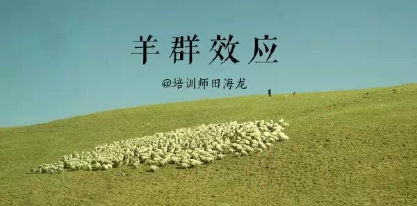 终于找全了：蝴蝶效应、青蛙现象、鳄鱼法则、鲇鱼效应、羊群效应、刺猬法则、手表定律、破窗理论、二八