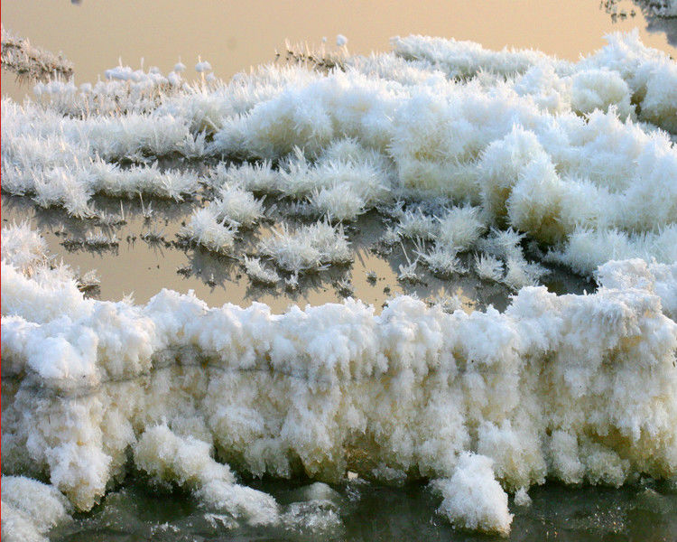 罕见的盐湖硝花（原创） 