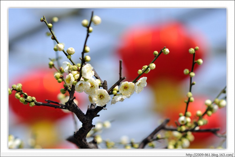 描写“梅”的诗句大全（唯美诗画） - 宝贝梦 - 享受人生