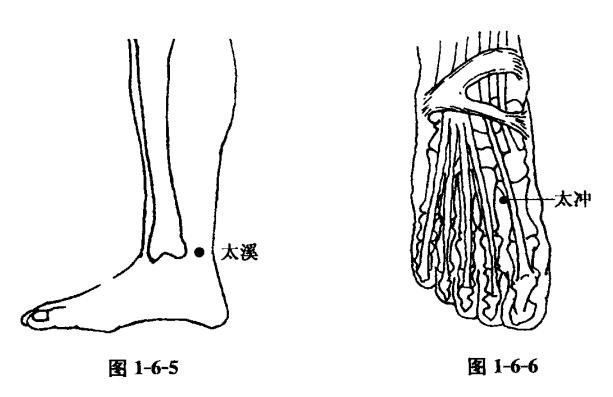 贫血的艾灸疗法-带穴位图超详细 - 缘水禅心 - 