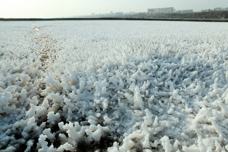 运城盐湖物理现象之二（原创） 