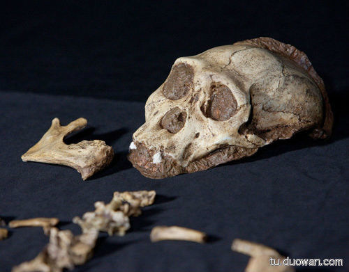 盘点中国神秘事件 至今为止仍然是未解之谜 (10)