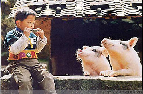 艳遇的最高境界【组图】 - 云鹏润峰 - 云鹏潤峰