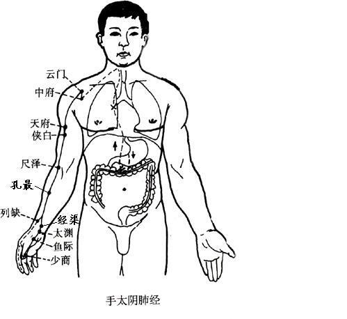 完全公开最简“治百病”锻炼方法