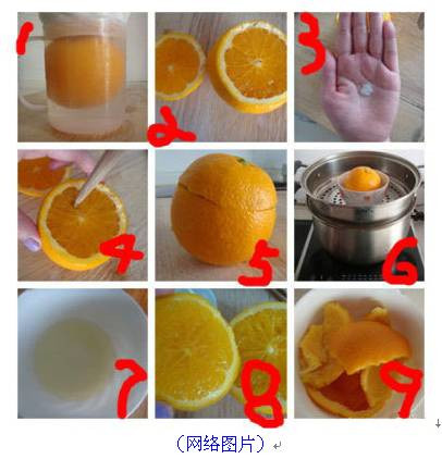 熟吃橙子——秒殺一切止咳藥消炎藥 - 同化 - 同化
