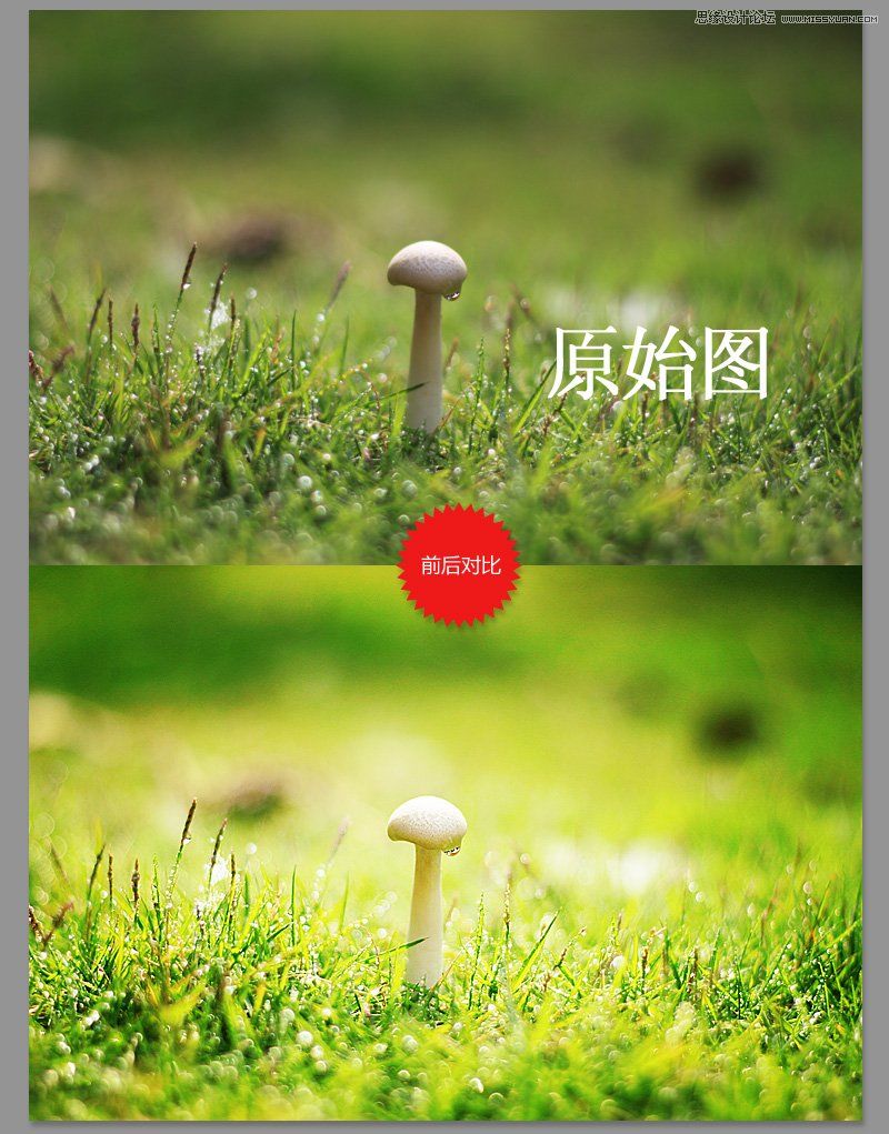 Photoshop调出风景照片唯美的暖色效果