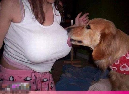 告诉你 “男不养猫、女不养狗” 的秘密  文/阿林 - 阿林 - alin2006721的博客