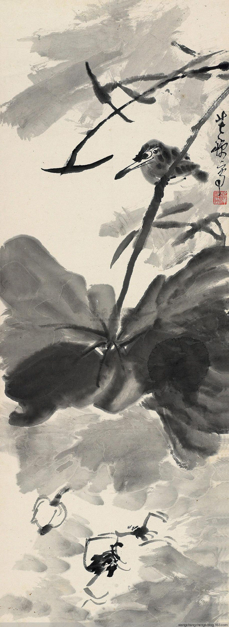 李苦禅 荷花作品欣赏 - wangchangzhengb - wangchangzhengb的博客