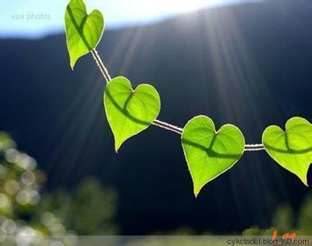 那些让人觉得温暖的处事细节 - 哥们干杯 - 