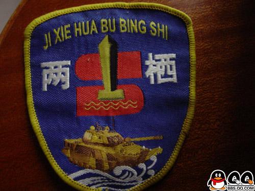 1军第1两栖机械化师